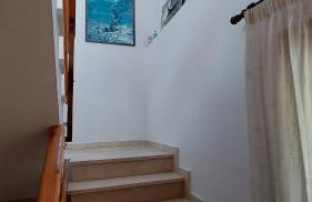 Senet Rural - Foto 34