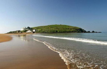 The Hen House - Foto 4