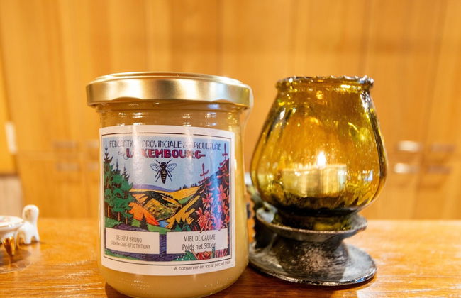 Expansive Holiday Home in Ardennes with Hot Tub - Photo 38