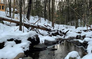 Luxury Modern Cabin near Skiing - Foto 20