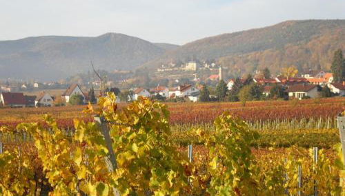 Loblocher Max und Moritz - Foto 5