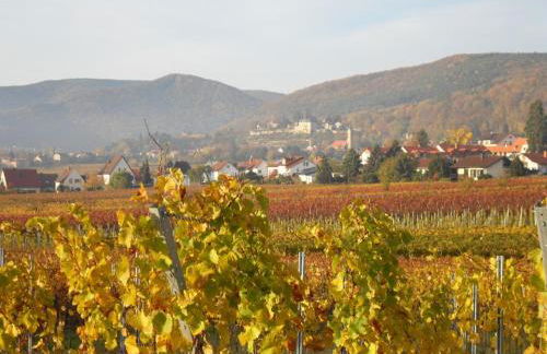 Loblocher Max und Moritz - Foto 5