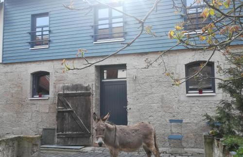 Ferienhof"WaldEsel Rippersroda" - Foto 44