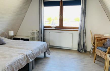 Sternkieker - Photo 9