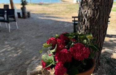 Beach House Gabriela - Photo 23