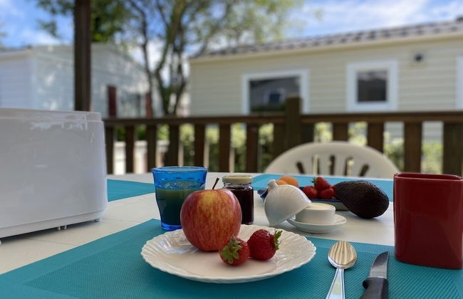 Plaisirs Nature à La Pignade - Foto 21