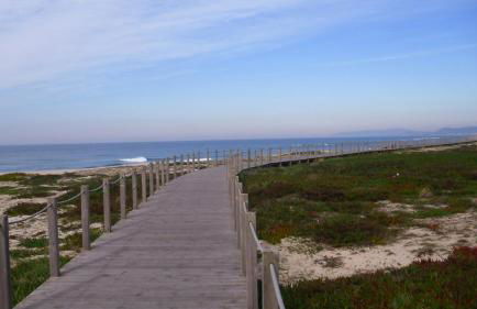 Blue Ocean - Foto 20