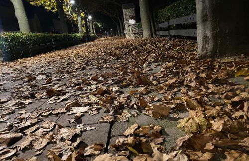 Precioso apartamento con vistas montaña o rio - Foto 60