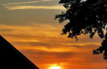 Ferienhaus Albers - Foto 12