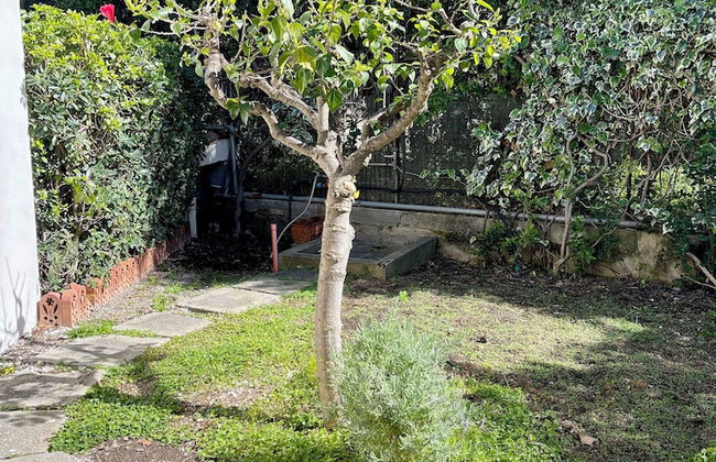 Golfo degli Ulivi Relax - Photo 52