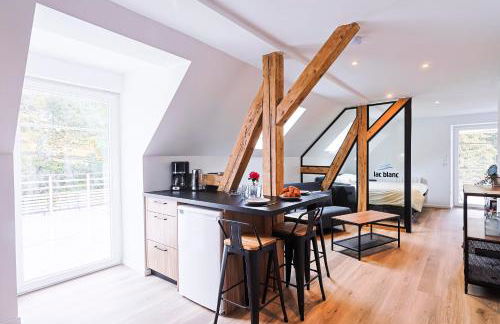 Appartements Les Vosges - Foto 15