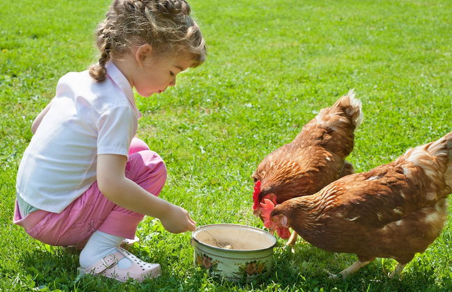 Peppermint Brook Cottages - Foto 11