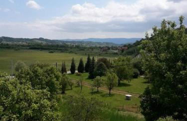 Holiday Home Dora - Foto 16