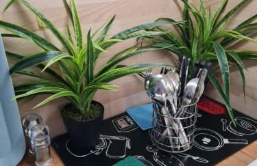 appartement vue mer,accès direct plage,fibre,clim,parking public gratuit - Foto 40