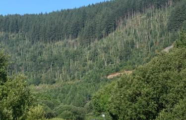 2 Bed Miner's Cottage With Log Burner, Pool Table & Mountain Views - Photo 22