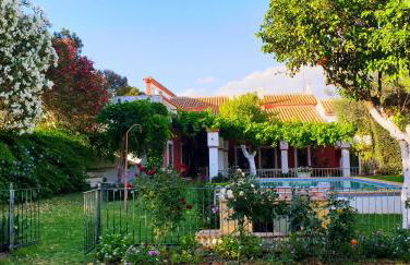 Cortijo El Triguero N-398 Ctra Carmona – El Viso del Alcor Km 18 - Foto 14