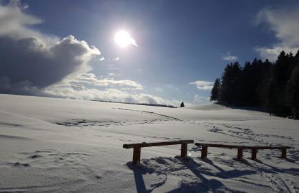 Ferienwohnungen Am Skilift - Foto 80