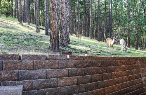 Spacious Black Hawk Home with Furnished Deck! - Foto 38