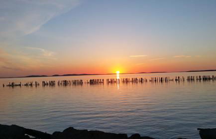 Fewo 7 im Fischerhaus Wintergarten und Terrasse mit Strandkorb - Foto 46
