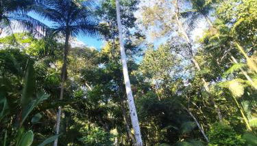 Chácara da Vó na Natureza - Foto 5