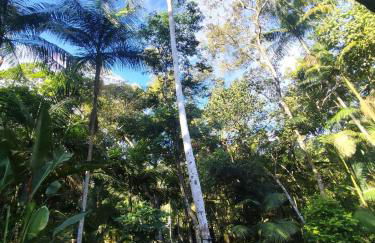 Chácara da Vó na Natureza - Foto 5