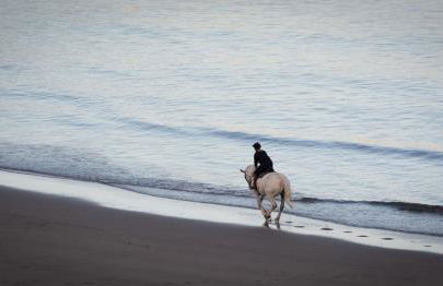 Luxury Seaside Home with Incredible Views - Foto 27
