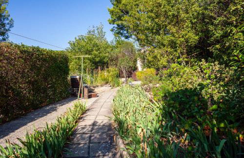 Les Oiseaux - Foto 11