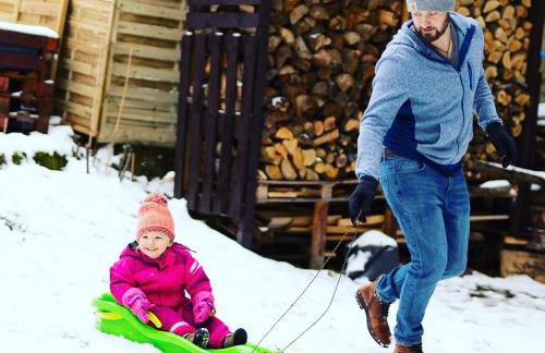 Chata Pod Lasem - Foto 10