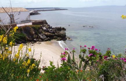 Sa Caletta Appartamenti - Foto 26