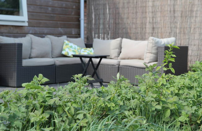 Rustic Bungalow in North Holland near Forest - Foto 15