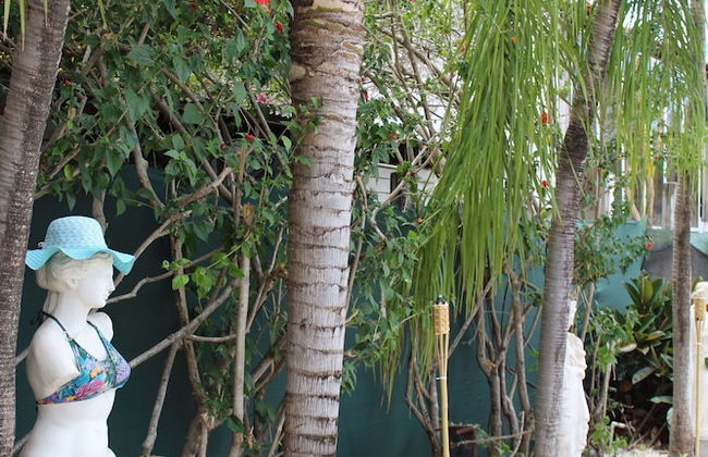 Toro Blanco Resort - Foto 49