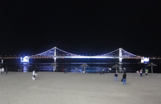 Nachtansicht von Busan - Private Tour - Foto 4