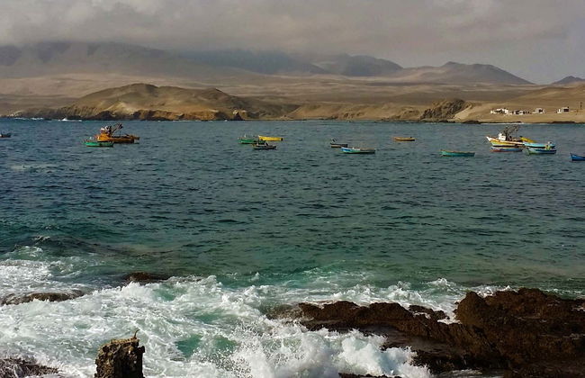 Excursion à Las Aldas et à la plage de La Gramita - Photo 5