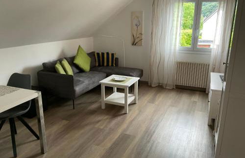 Ferienwohnungen Forneck - Foto 21