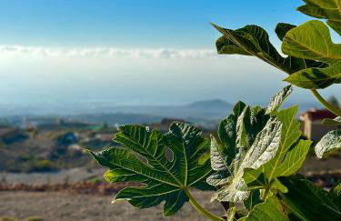 Las Casitas - Casa Higo - Foto 17