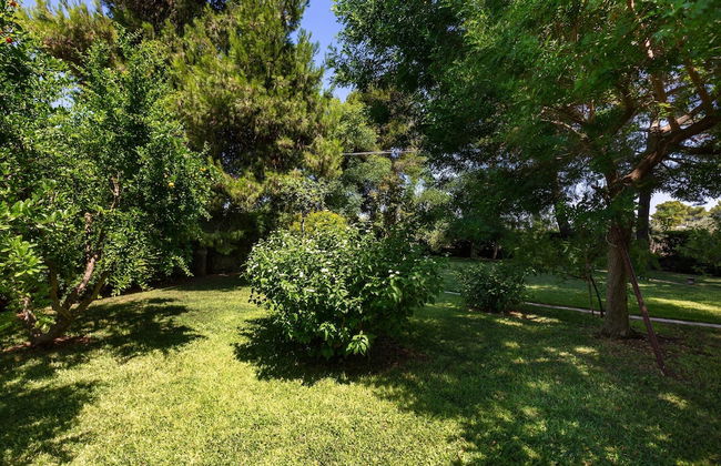 3111 Villa Carra by Perle di Puglia - Foto 47