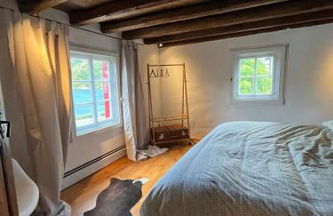 Noah - Seeleben auf Zeit am Rursee - Foto 53