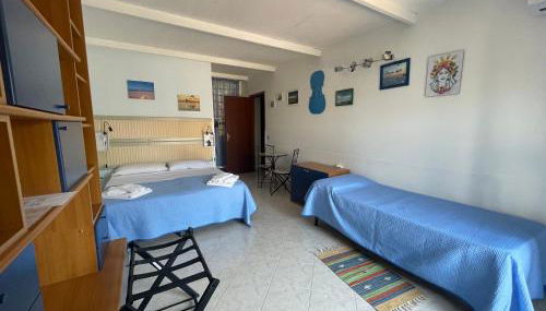 Il Violoncello - Foto 4