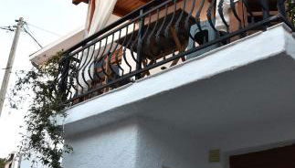 Kactro House - Foto 4