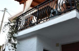 Kactro House - Foto 4