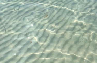 La Pavoncella Holiday Home - Foto 79