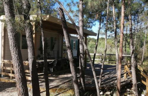 Résidence Santa - Foto 12