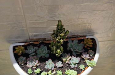 Apartamento nos Ingleses - Photo 20