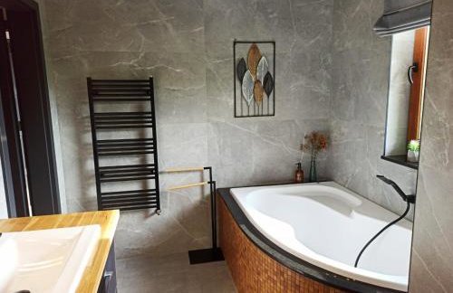 Willa Maja Bieszczady noclegi Bieszczady - Foto 24