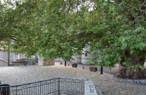 Villa Katerinas - Photo 53