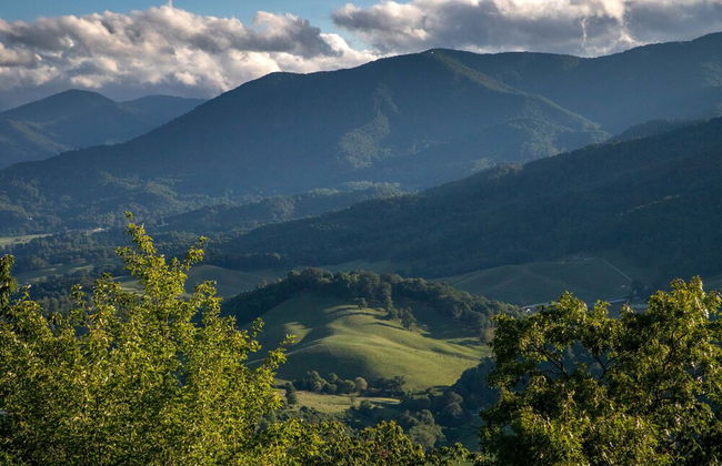 Luxury 4200 Sqft Log Cabin on 50 Acres Sleeps 16 - Foto 80