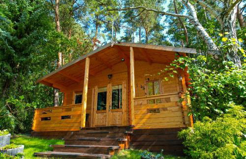 UROCZYSKO POD LASEM - Foto 22