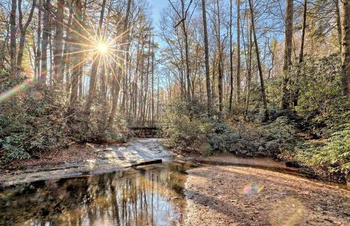 The Spotted Owl - Foto 25