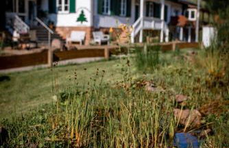 Waldquelle Vital Ferienwohnung - Foto 26
