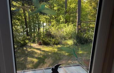 Lakeside-Hideaway - Photo 7